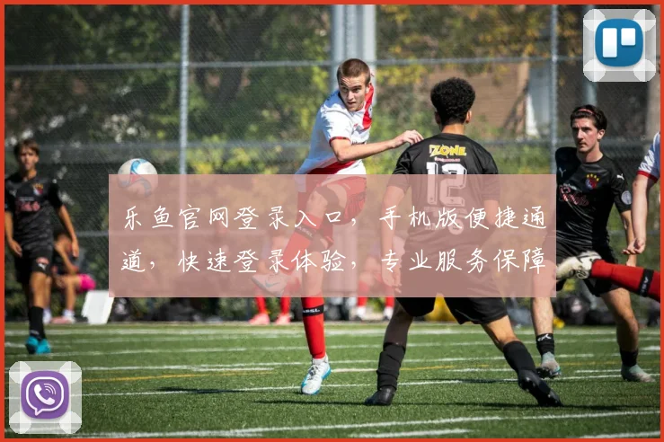 乐鱼官网登录入口，手机版便捷通道，快速登录体验，专业服务保障，一触即达