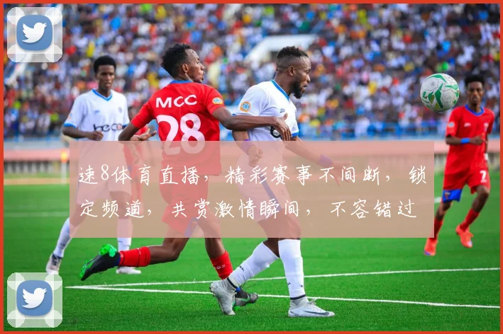 速8体育直播，精彩赛事不间断，锁定频道，共赏激情瞬间，不容错过
